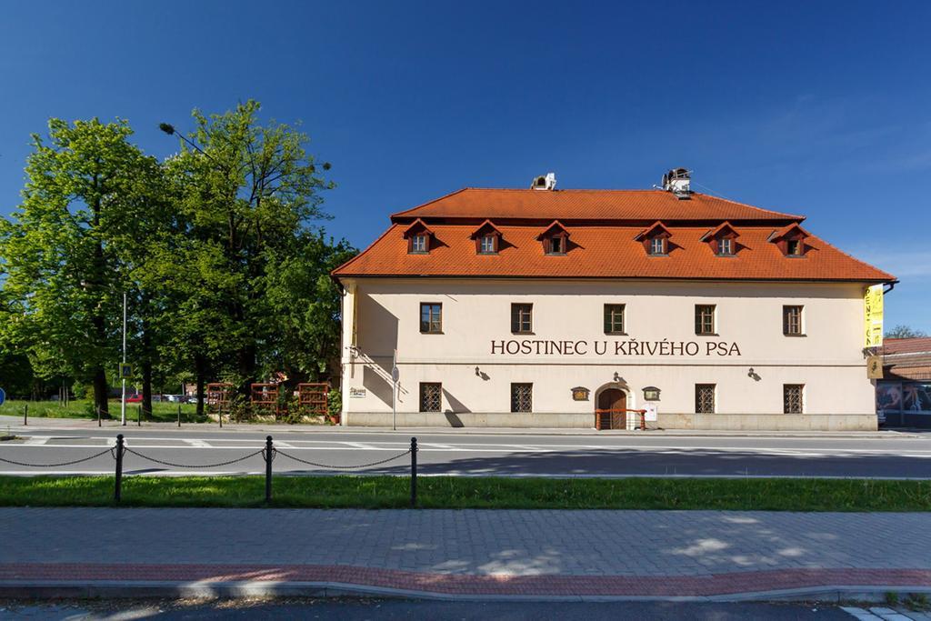 Penzion U Kriveho Psa Hotel Frydek-Mistek Bagian luar foto